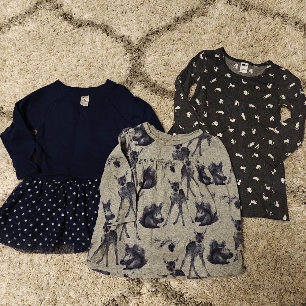 2T Toddler Girl Lot